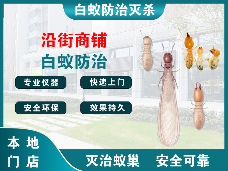 高邮市沿街商铺白蚁防治