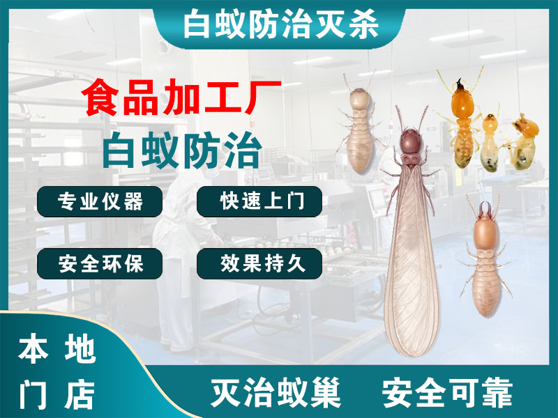 高邮市食品加工厂白蚁防治