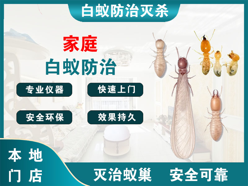 高邮市家庭白蚁防治