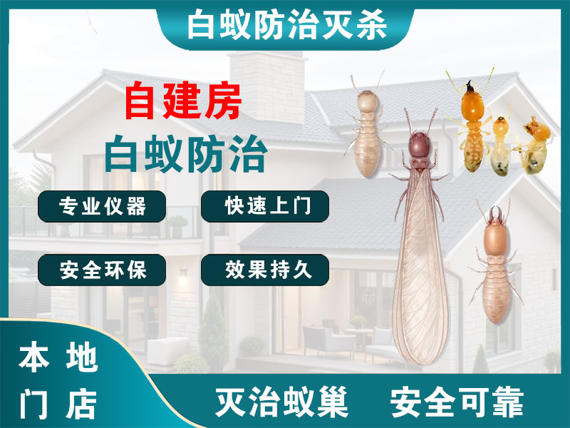 高邮市自建房白蚁防治