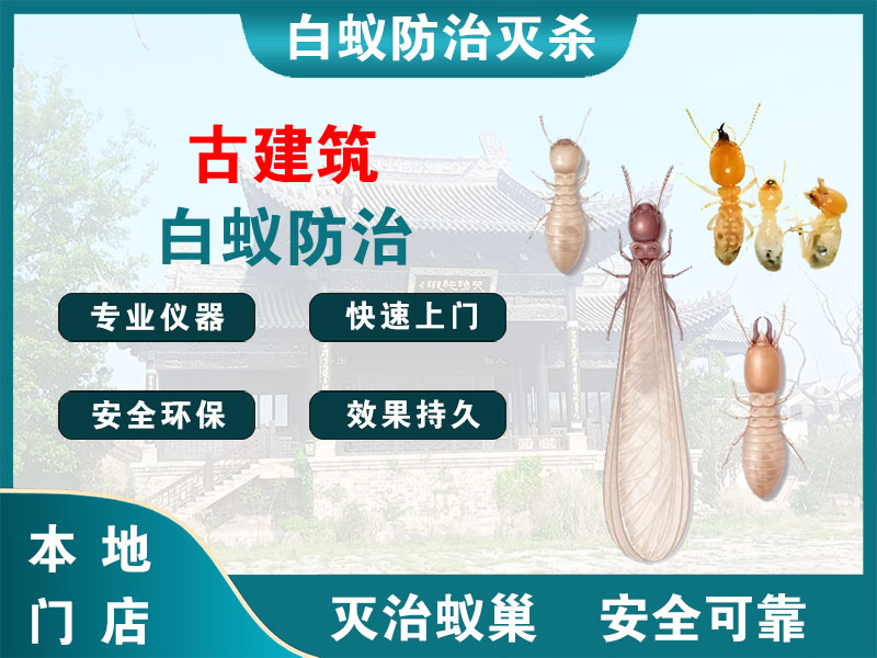 高邮市古建筑白蚁防治