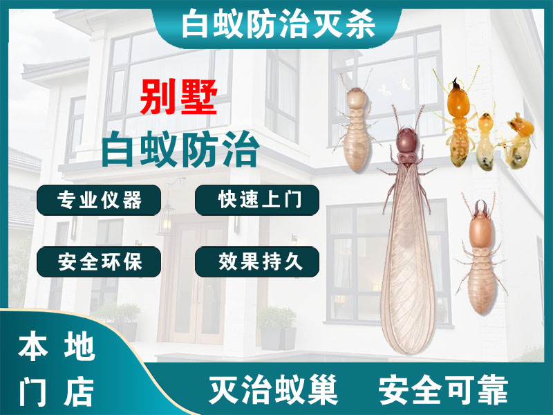 高邮市别墅白蚁防治