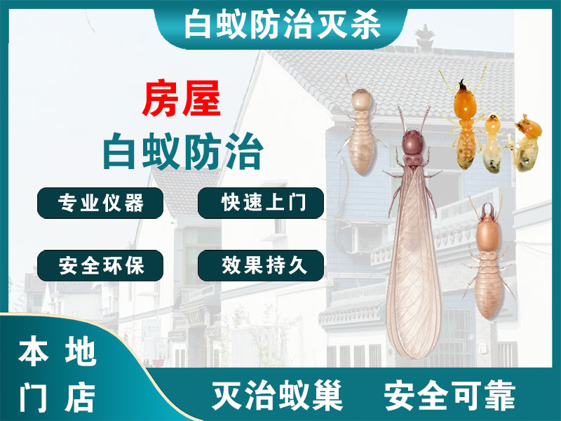 高邮市房屋白蚁防治
